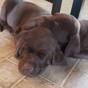 Meet your Posher, Kathy